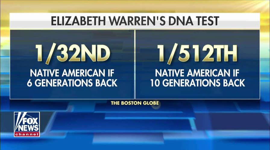 Elizabeth Warren Releases DNA Test Results: 'Strong Evidence' of Native American Ancestor