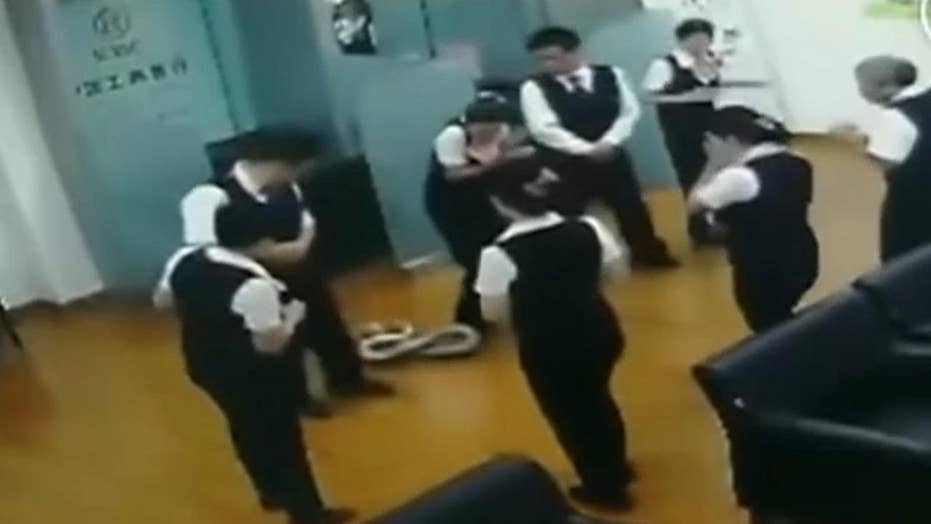 Python Recorded Falling Through Ceiling During Bank Meeting