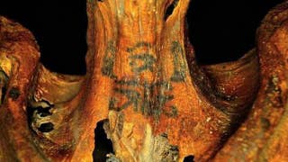 Mystery solved: 3,000 year old tattooed mummy is a female - Fox News