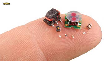 Bee-sized bots set to dominate future battles for cities