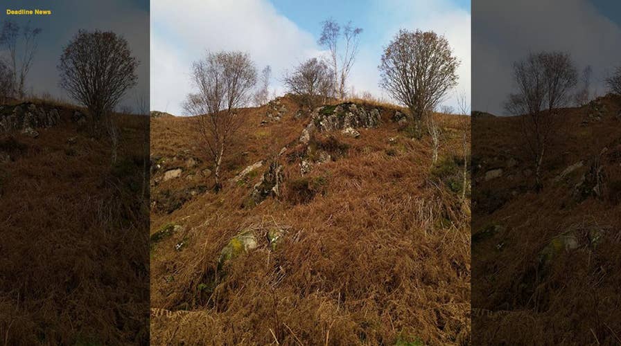 Can you spot the stag? Amazing photo of camouflaged deer goes viral