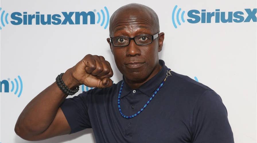 Wesley Snipes must pay $9.5 million in back taxes