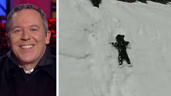 Gutfeld on the bear video