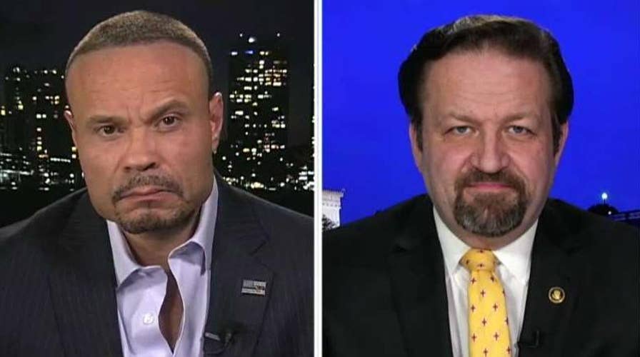 Bongino, Gorka on unacceptable tactics of the left-wing mob