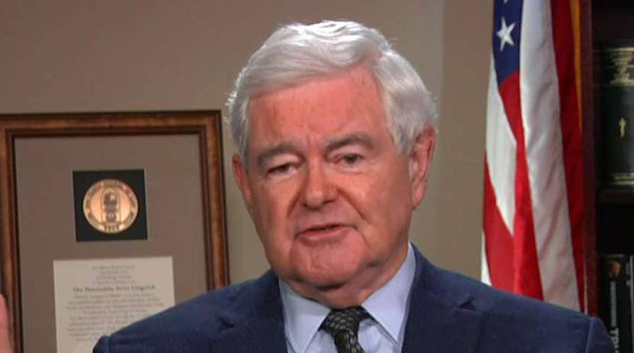 Gingrich: Dems have long tradition of election dishonesty