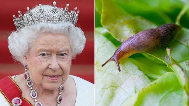 Did Queen Elizabeth really find a slug in her salad?