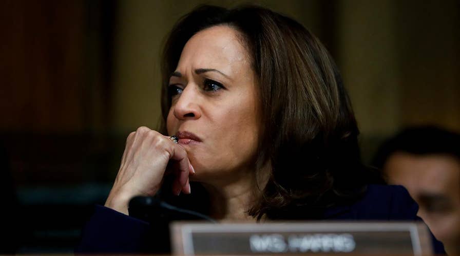 Kamala Harris draws parallels between ICE, KKK