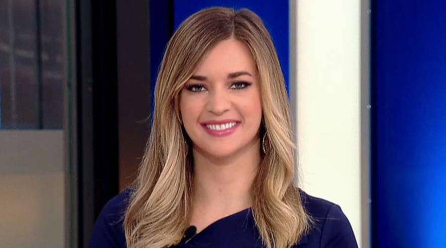 Katie Pavlich: Kamala Harris should apologize to ICE