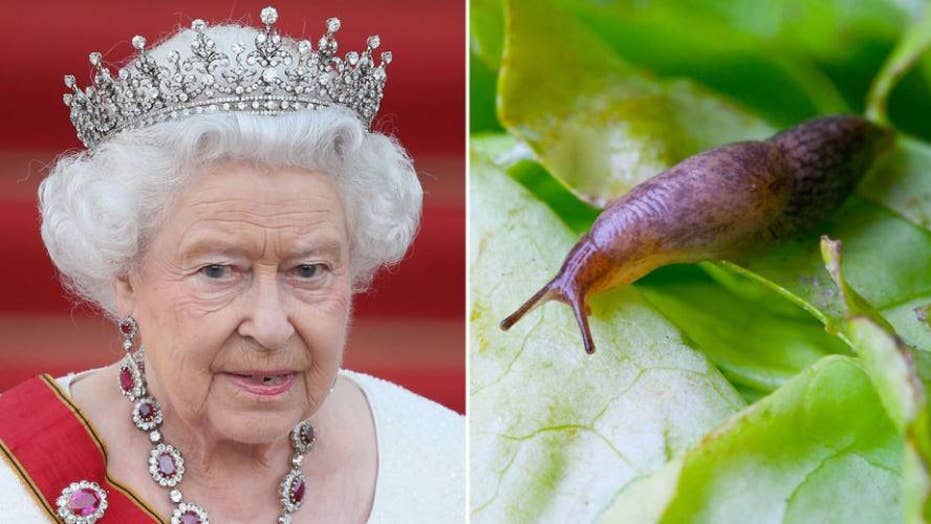 Image result for The queen once found a slug in her salad and sent the chef a brutal note