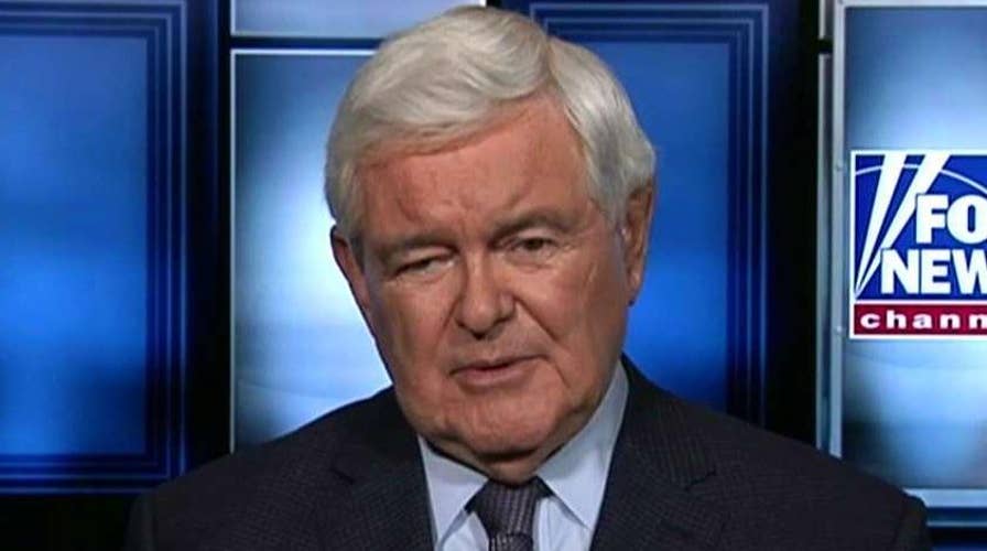 Newt Gingrich on Democrats' dangerous new tactics