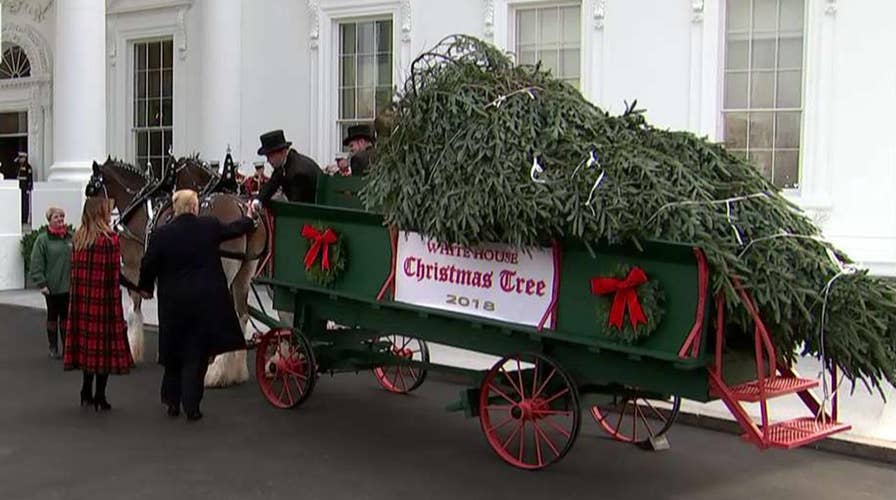 White House Christmas tree arrives in horse-drawn carriage