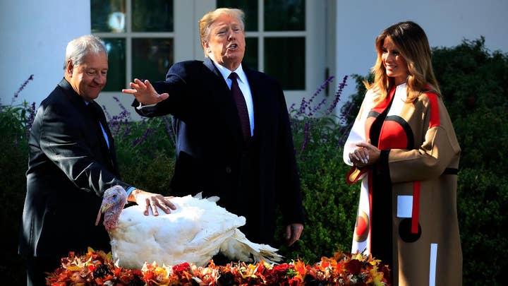 Trump pardons Thanksgiving turkeys Peas and Carrots