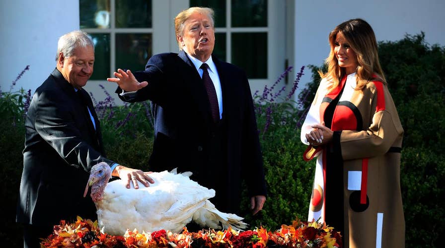 Trump pardons Thanksgiving turkeys Peas and Carrots