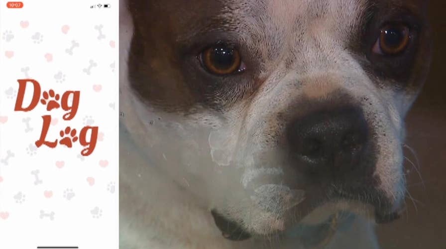 New app helps dog owners keep track of their pet