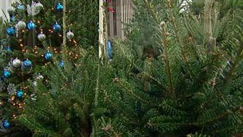 Michigan farm donates nearly 600 Christmas trees to military families