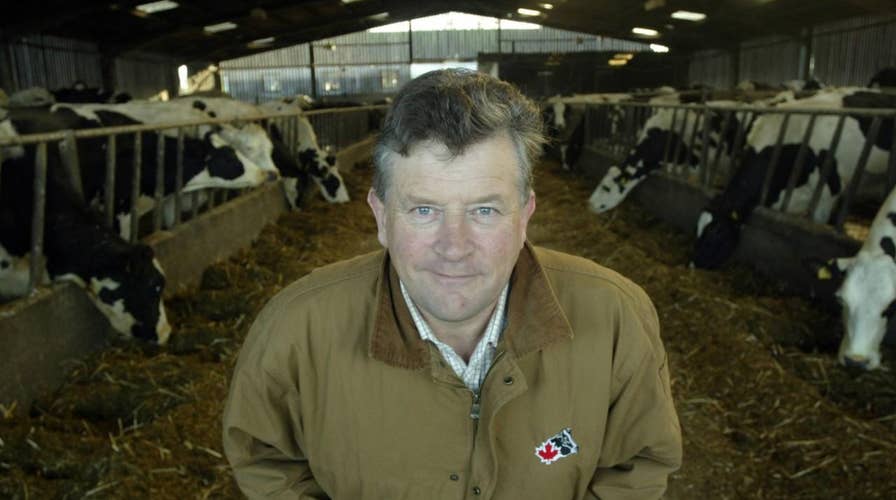 Farmer crushed to death after dog pushed forklift lever