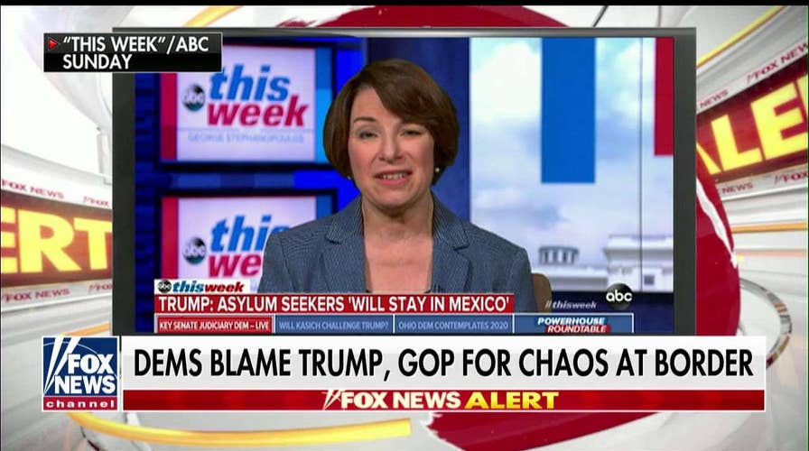 Bongino Slams Dem Who Claimed Trump 'Gut-Punched' Immigration Reform Efforts