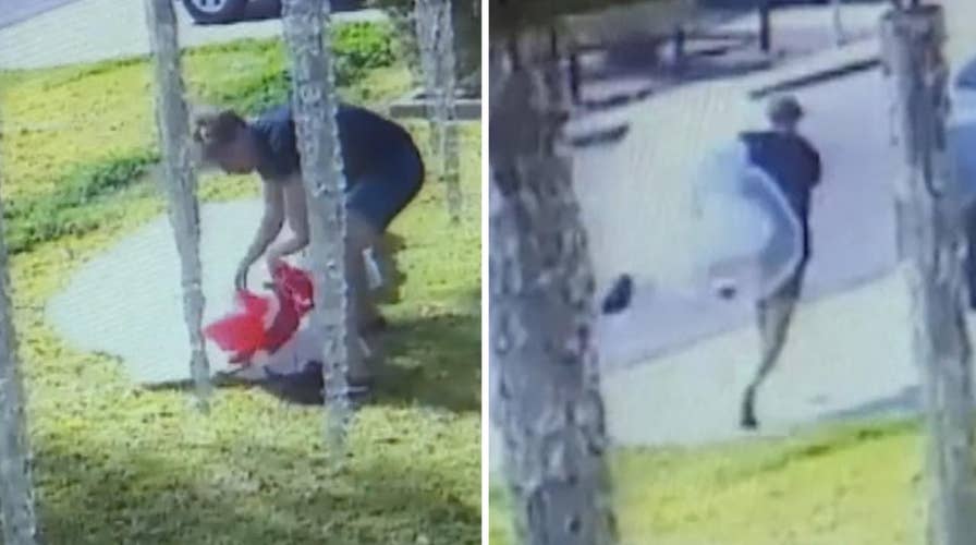 Thief steals family's holiday decorations in broad daylight