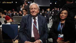 Sir David Attenborough predicts 'collapse of civilization' at UN summit - Fox News