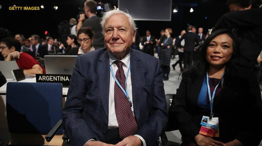 Sir David Attenborough predicts 'collapse of civilization' at UN summit