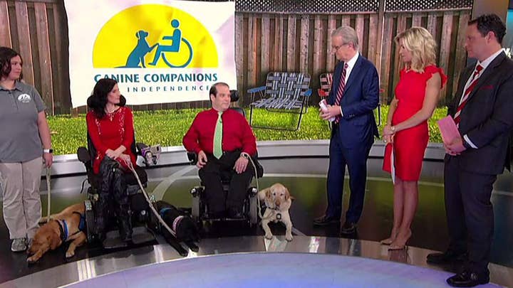 Service dogs stop by 'Fox &amp; Friends'
