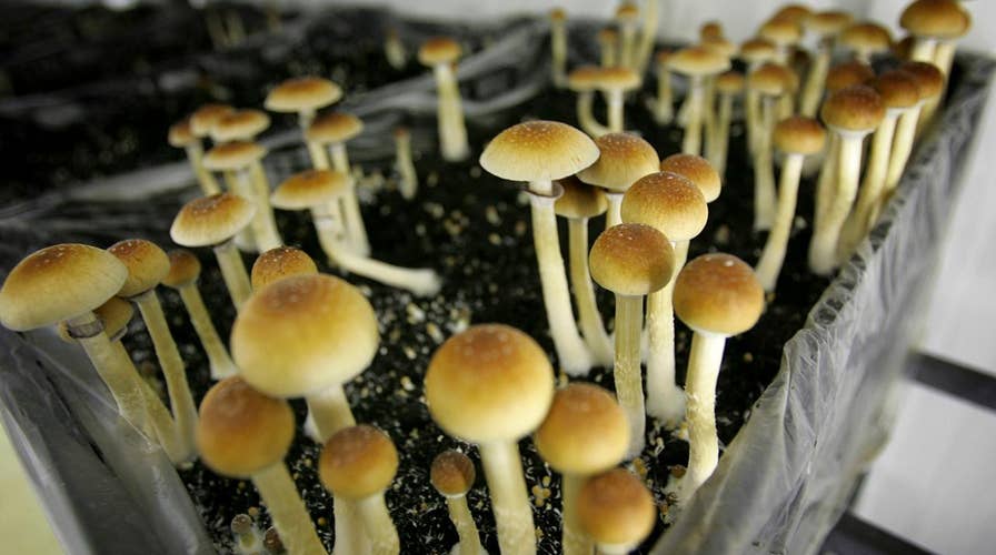 Will Oregon be first state to legalize mushrooms?