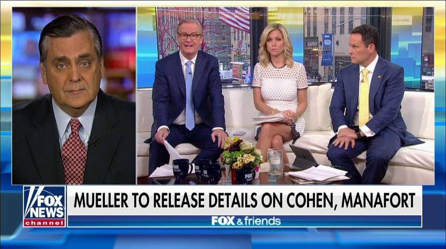 Turley: Michael Cohen's Request for Leniency 'Borders on Lunacy'