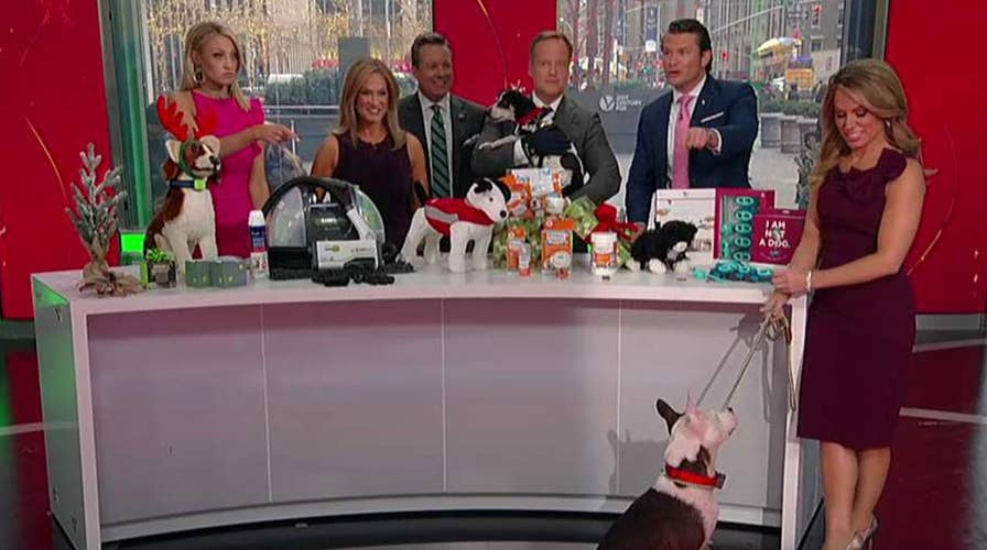 Wag-nificent Christmas gift ideas for pets