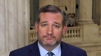 Sen. Cruz on securing the southern border
