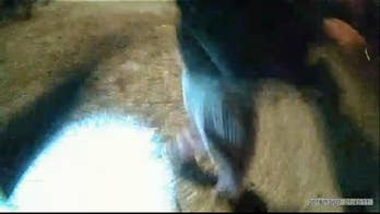 Body cam video captures moment police officer stops teen from jumping in front of train