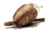 Does your Christmas tree have walnut-shaped masses? 'Don’t bring them inside,' viral post warns