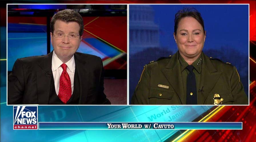 Neil Cavuto Interviews Border Patrol Chief on Wall Funding