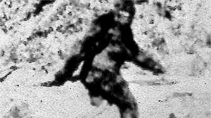 Hunter thought he was firing at Bigfoot, 'victim' tells police