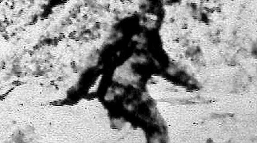 Hunter thought he was firing at Bigfoot, 'victim' tells police