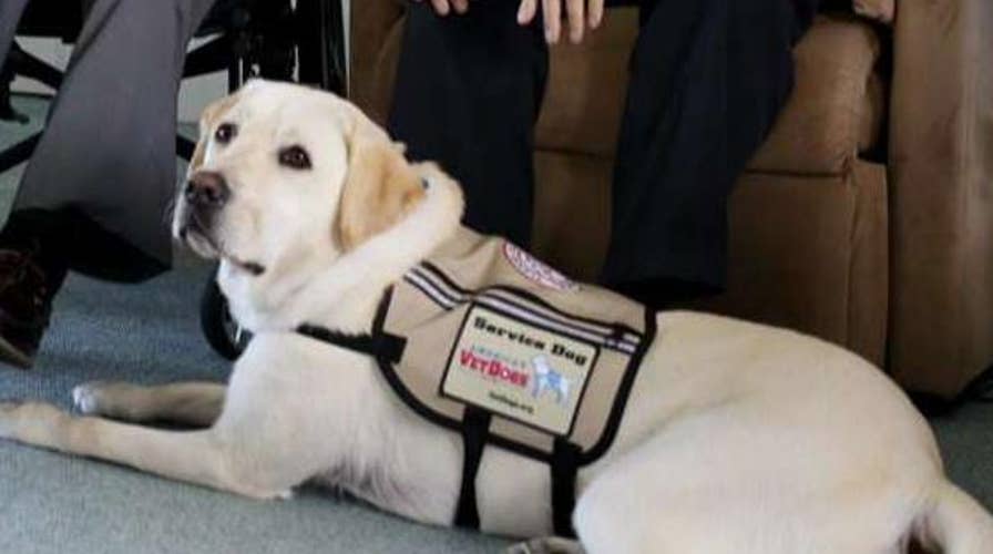 George H.W. Bush's service dog Sully recognized for his service