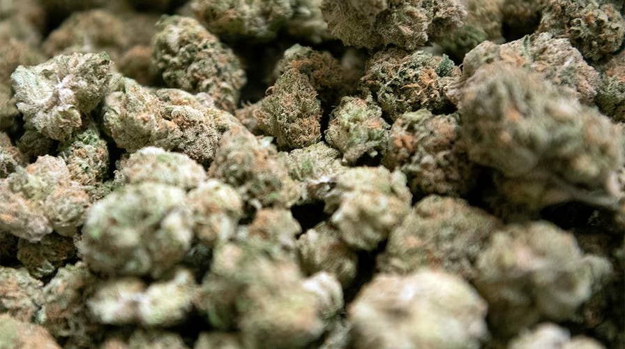 Should recreational marijuana use be legalized? Debating the pros and cons of New York Governor Cuomo's pot push