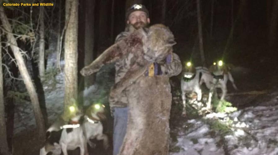 A Colorado man is convicted of a felony after killing a mountain lion