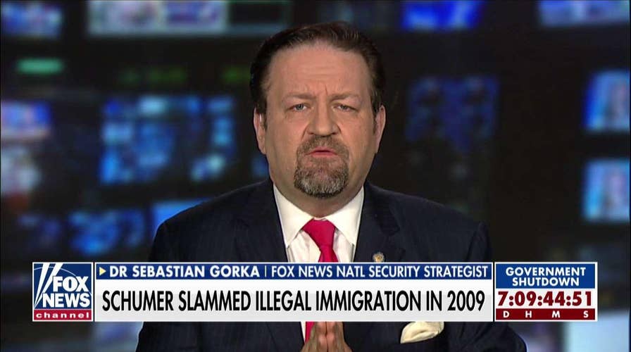 Gorka: Dems Only Care About 'Power' & 'Taking Down' Trump, Not Protecting Americans