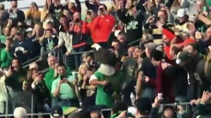 .Rogue bald eagle lands on fan during Saturday's Cotton Bowl