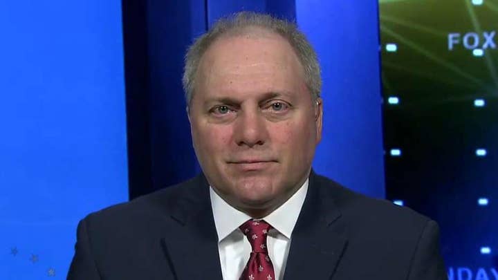 Steve Scalise on negotiations to end partial government shutdown, Republican agenda for the new Congress