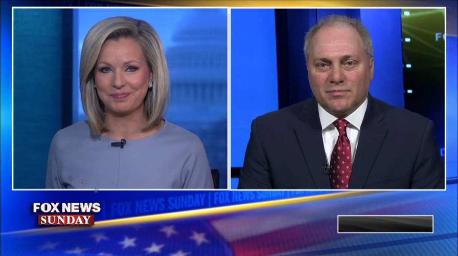 Scalise: Dems Won't Negotiate Border Security Out of Fear of Radical Left