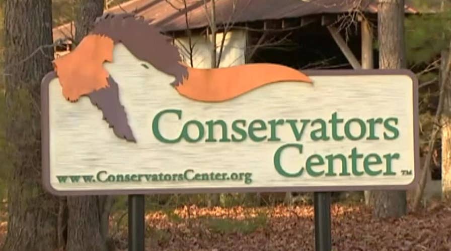 Escaped lion kills an intern at a conservation center in North Carolina