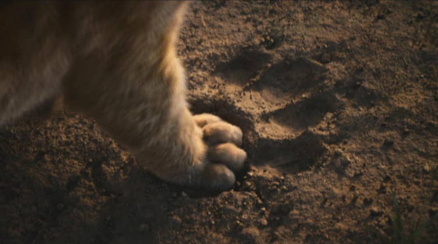 Biggest movies to look forward to in 2019