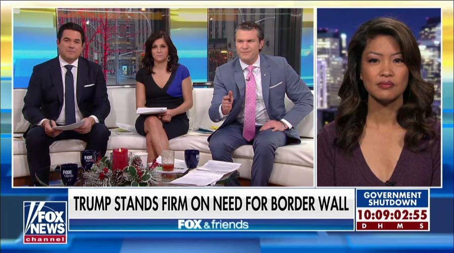 'Sovereignty Is the Defining Issue': Malkin Says Trump Must 'Hold the Line' on Border Wall Funding