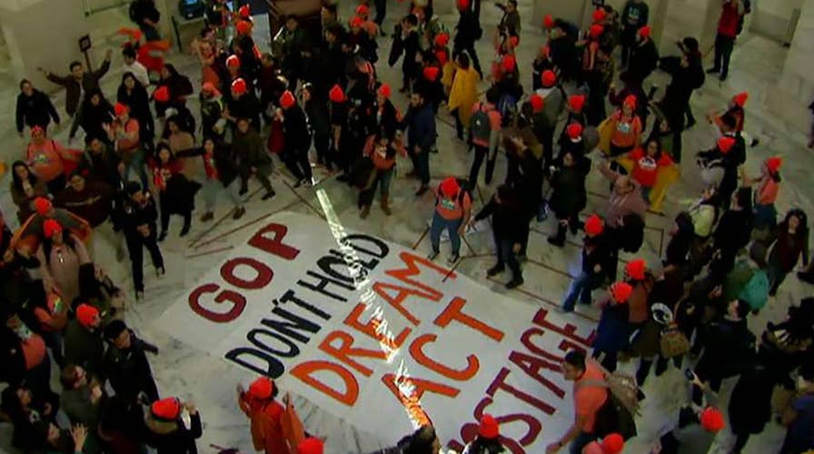 Despite being unable to vote, many Dreamers helped flip the House for the Dems