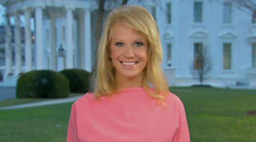 Kellyanne Conway: Border security should be a non-partisan issue met with bipartisan solutions