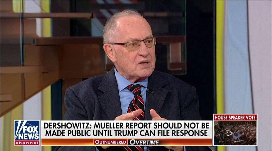 Dershowitz: Trump Legal Team Must Have Rebuttal for 'Completely One-Sided' Mueller Report