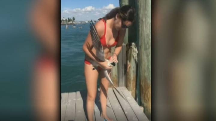 Woman saves seagull from plastic wrapped around its neck during Florida vacation