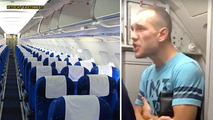 Ex-NHL player causes emergency landing, accused of assaulting flight attendant