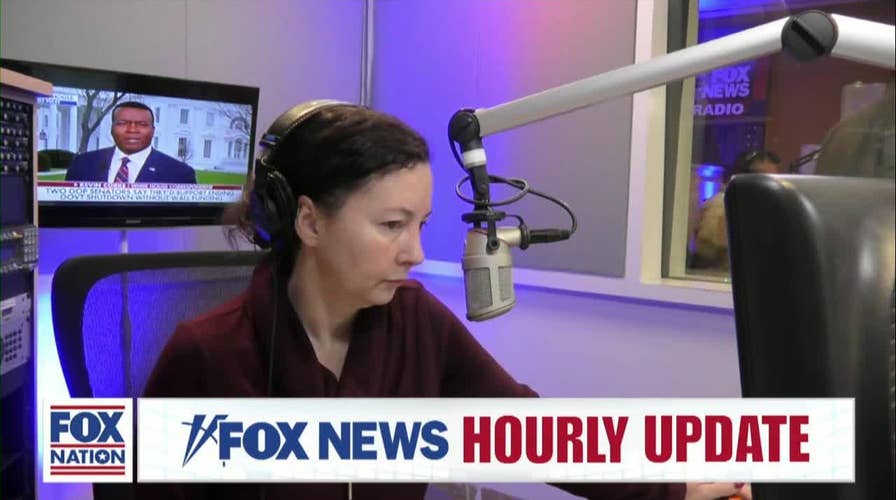 Fox News Brief 01-04-2019 12PM